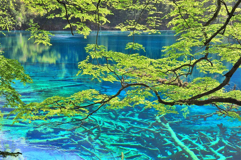 Sheraton Jiuzhaigou Resort Facilities photo